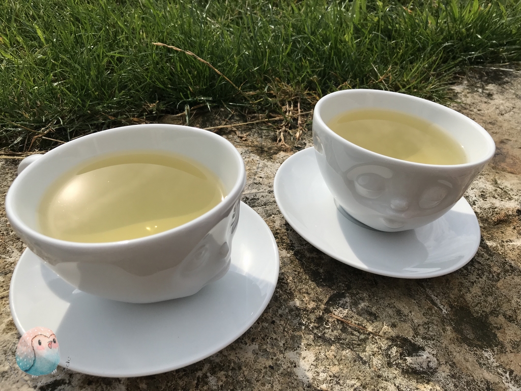 Gruener Tee schnabel-auf