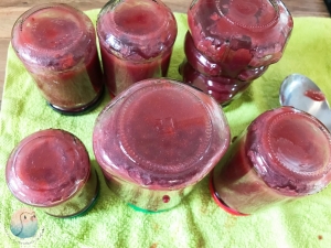 Kirsch Rhabarber Marmelade schnabel-auf