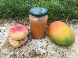Pfirsich Mango Marmelade schnabel-auf.de