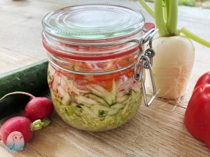 fermentiertes Gemüse fermentation schnabel-auf (3)