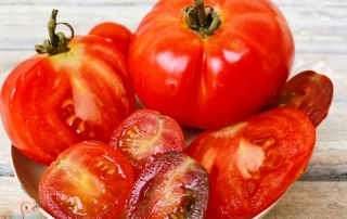 Tomaten - gesunde Rezepte für Kinder Schnabel-auf.de