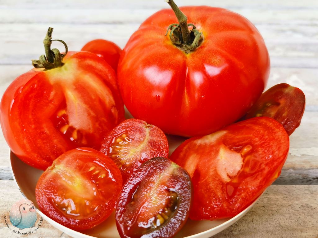 Tomaten - gesunde Rezepte für Kinder Schnabel-auf.de