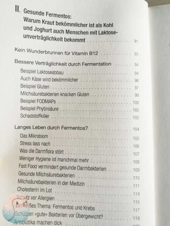 Einfach fermentieren Rezension Schnabel-auf.de